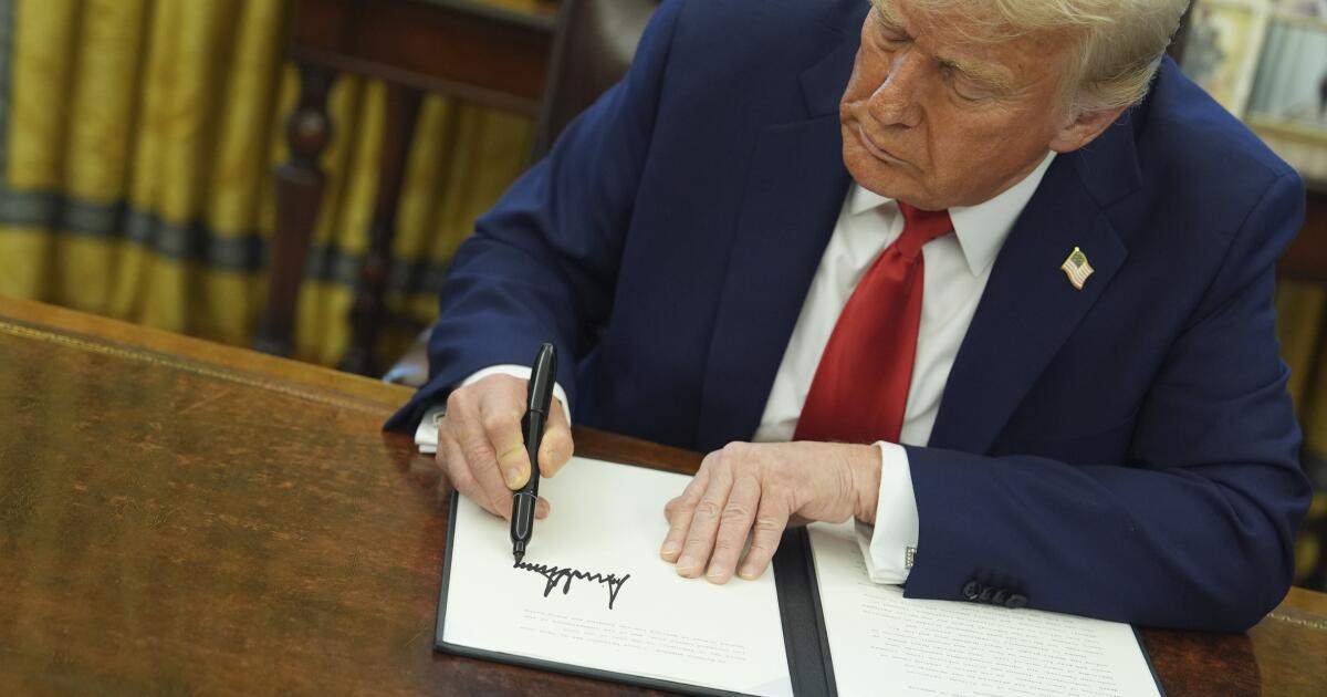 Görüş: Donald Trump'ın ikinci başkanlığı günde bir diktat sunuyor