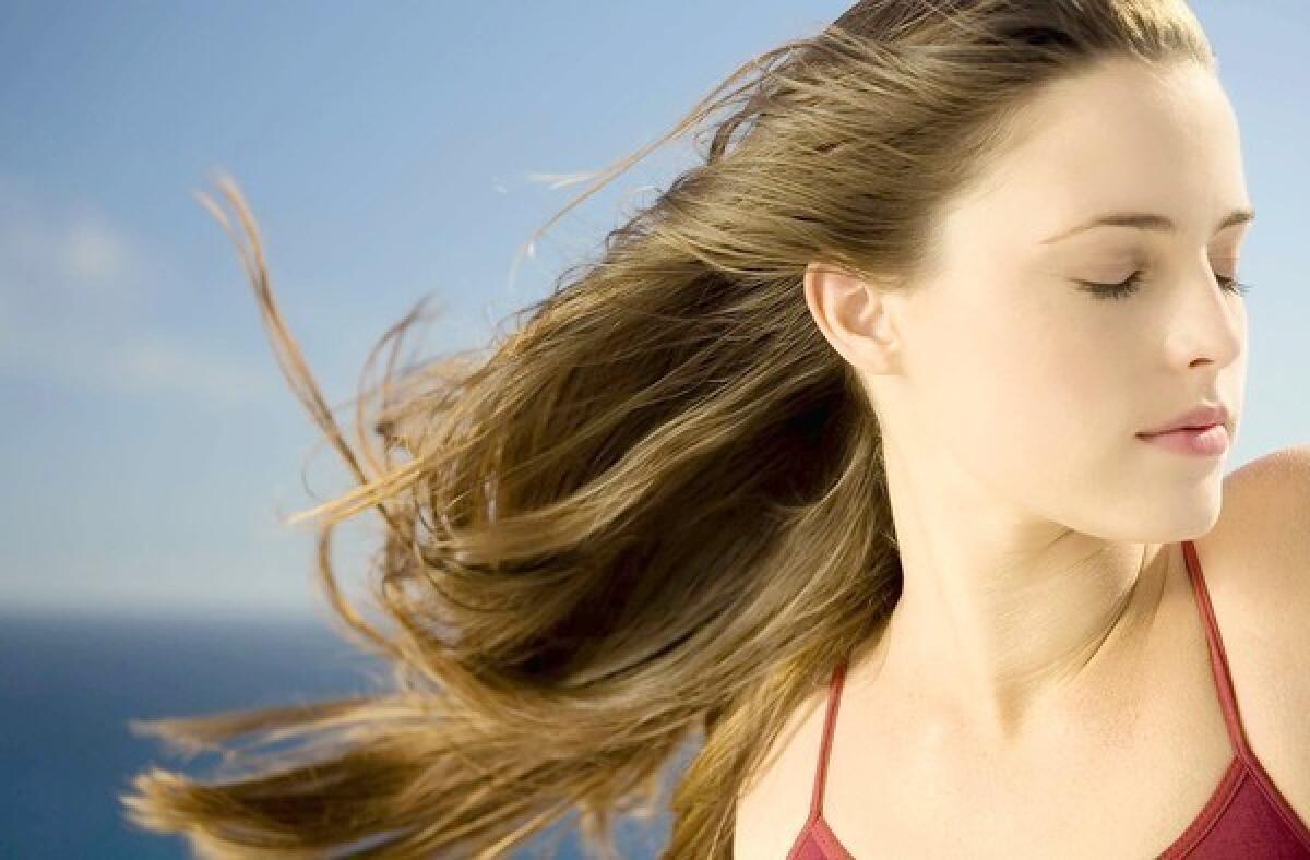 A crop of new offerings such as dry shampoos, mists and beer-infused products target summer’s ill effects on hair.