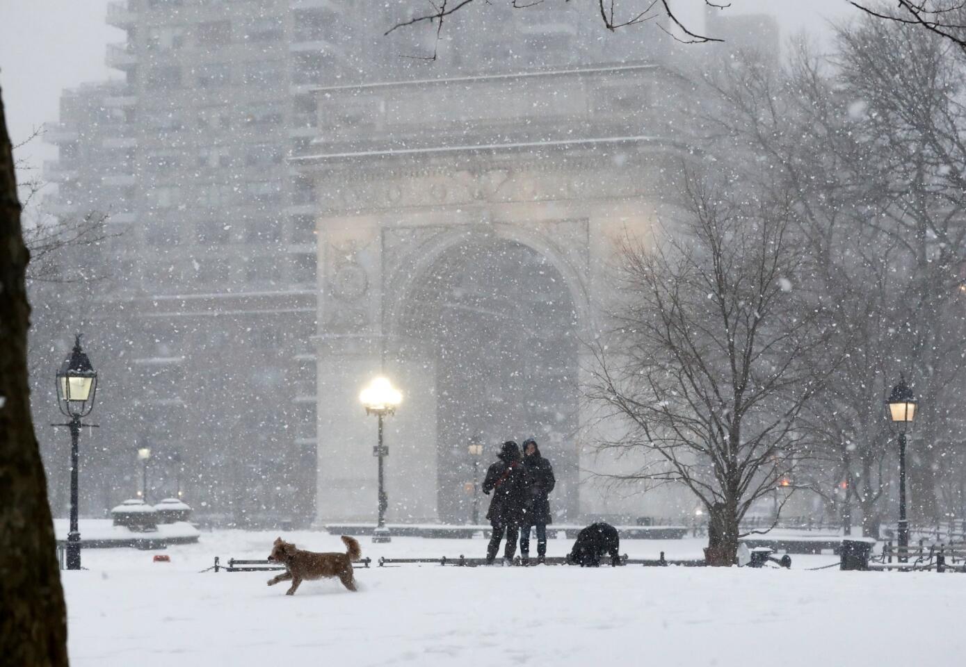 Winter storm blankets Northeast