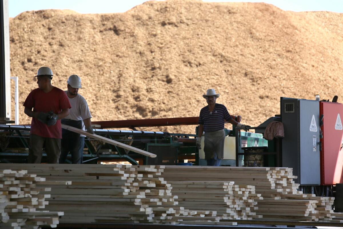 Workers sort out lumber at Shasta Green. Shasta Green sent biomass waste — giant mounds of wood chips, such as that in the background — to the neighboring Burney Forest Power plant, which burned up the byproducts to generate electricity. (Hung T. Vu / For The Times)