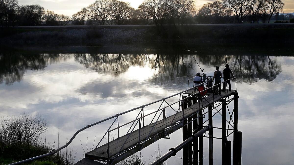 People try to catch fish along the Sacramento River in the San Joaquin-Sacramento River Delta, near Courtland, in 2016.
