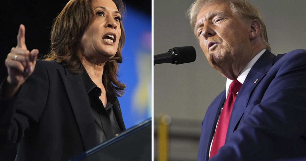 Analysis: American debt will increase with Harris' economic proposals, but it will increase with Trump's proposals