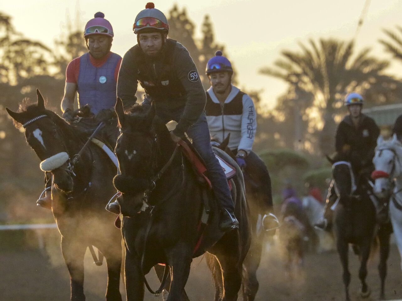 Horses go through early morning training as Santa Anita resumes racing on Friday.