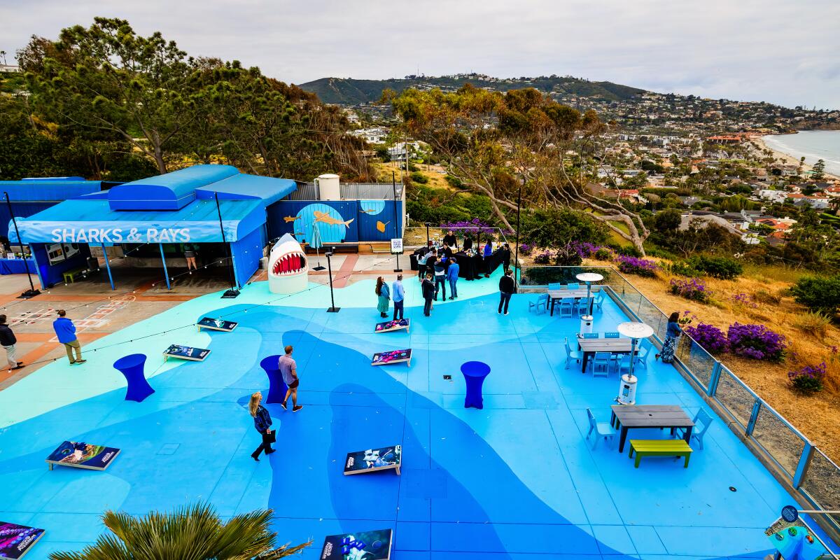The new Blue Beach at Birch Aquarium is a 4,500-square-foot floor mural.