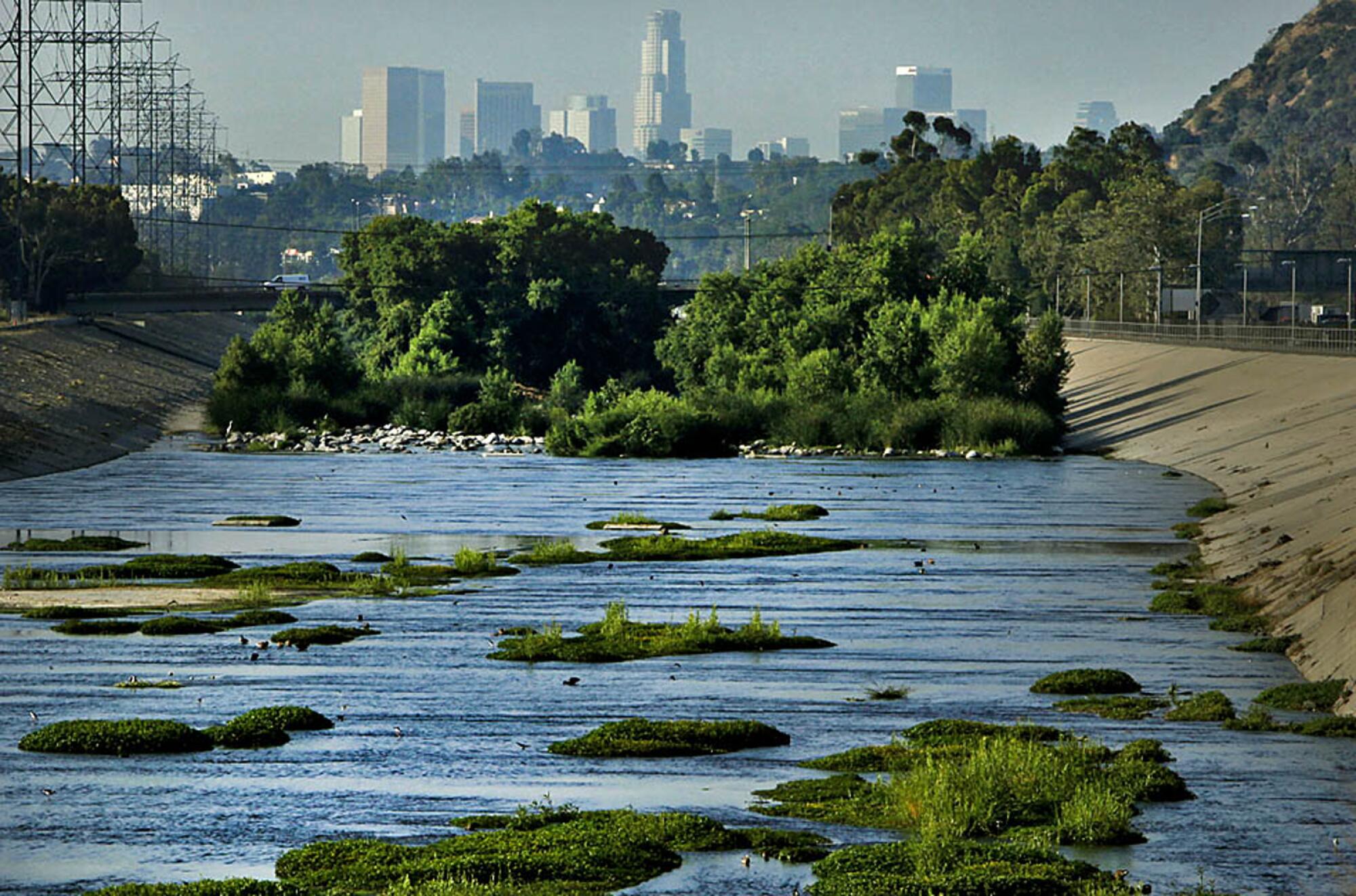 Green trees and shrubbery rise in the middle of a river as a city skyline looms in the background.