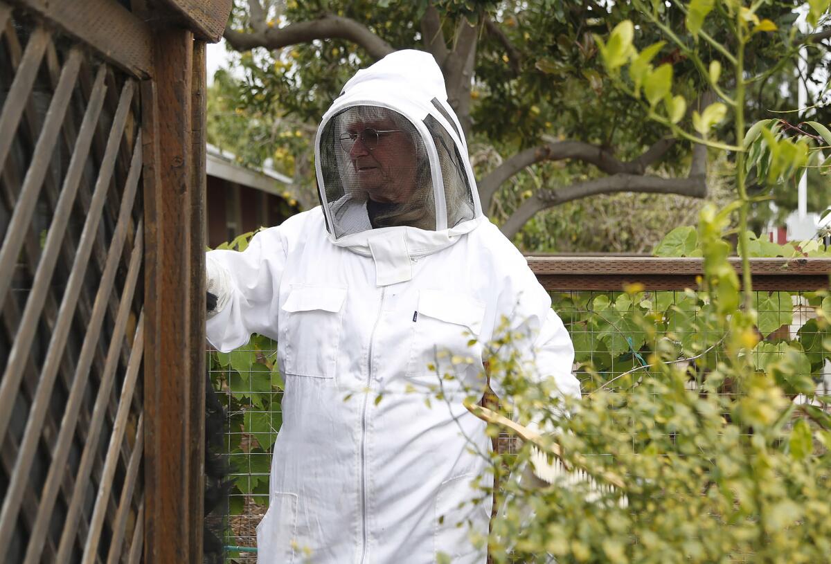 Bee enthusiast Corrine Powell helps maintain an apiary at the county fairgrounds' Centennial Farm.