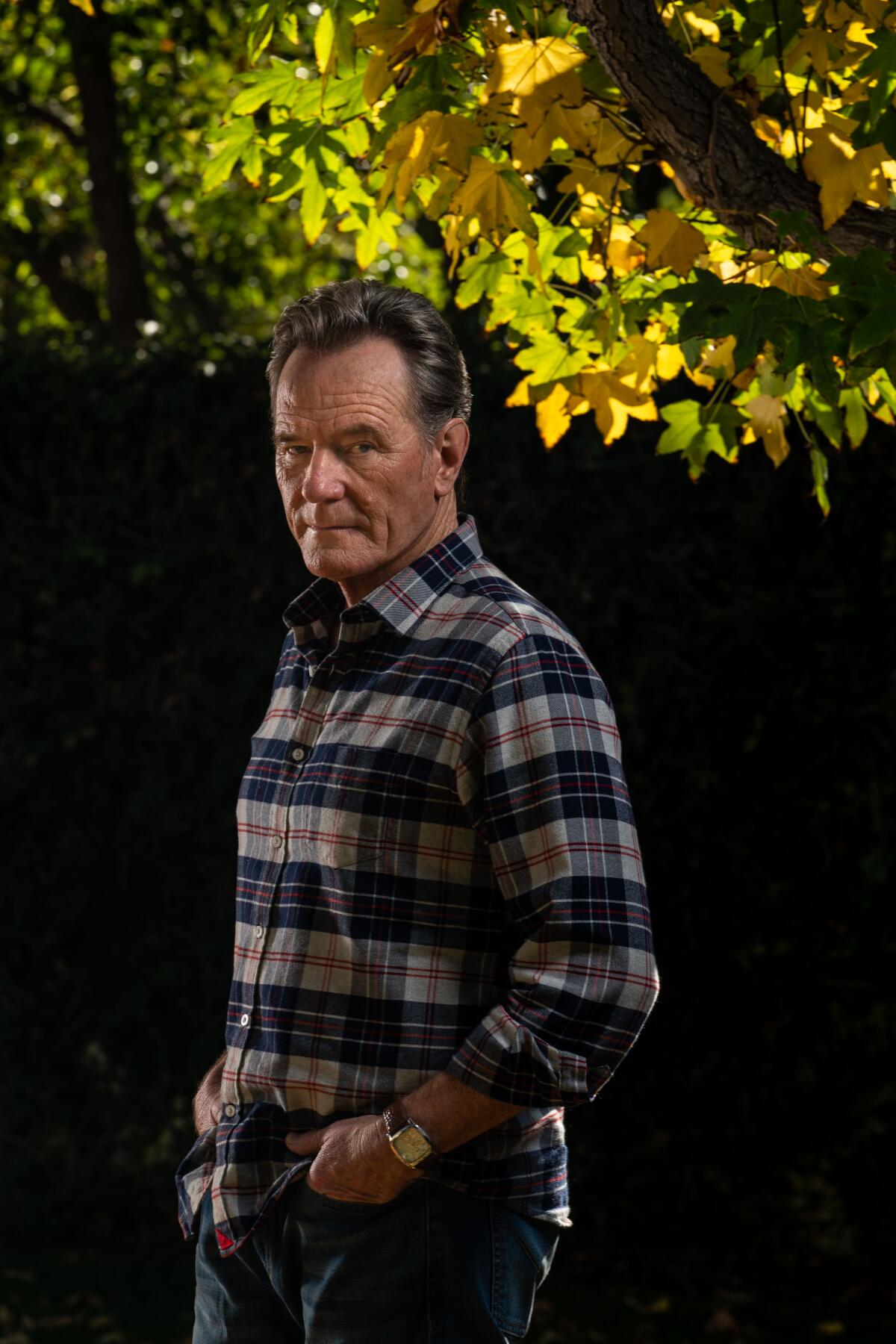 Bryan Cranston poses for a portrait beneath the leaves of a tree.