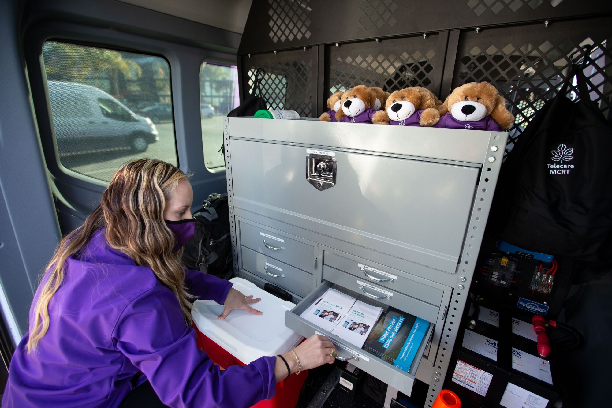 A woman in a purple shirt pulls out a drawer in a specialized van. Three stuffed toy dogs sit on top of a cabinet.