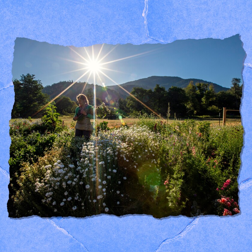The sun's rays stretch out over a woman standing amid flowers. In the background is a field and mountains.