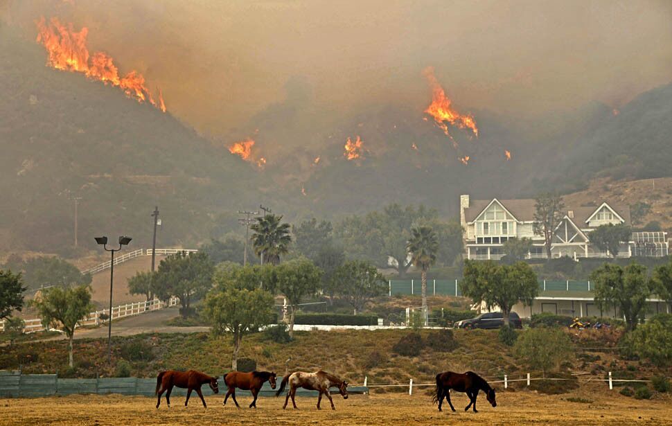 Fire in the hills above Hidden Valley in the Thousand Oaks threatens homes and livestock.
