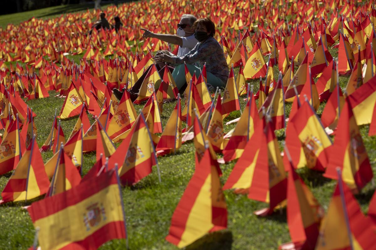 Una asociación de familias de víctimas del coronavirus plantó 53.000 banderitas españolas en un parque de Madrid