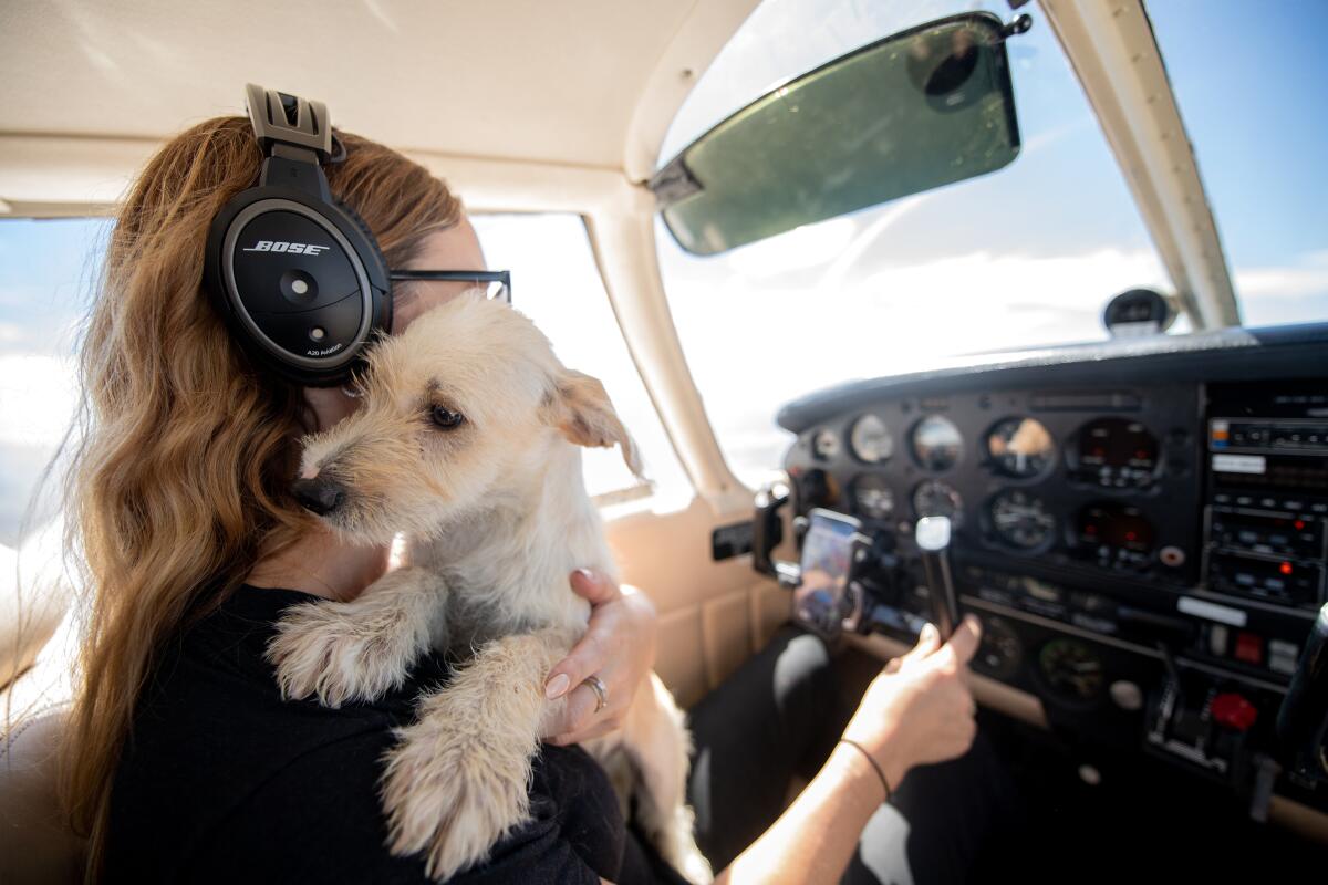 A pilot holds a dog in a plane cockpit