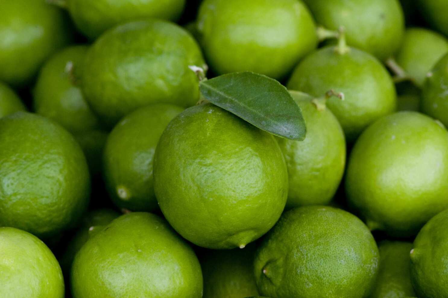 Private Selection California Grown Fresh Meyer Lemons - 1 Pound