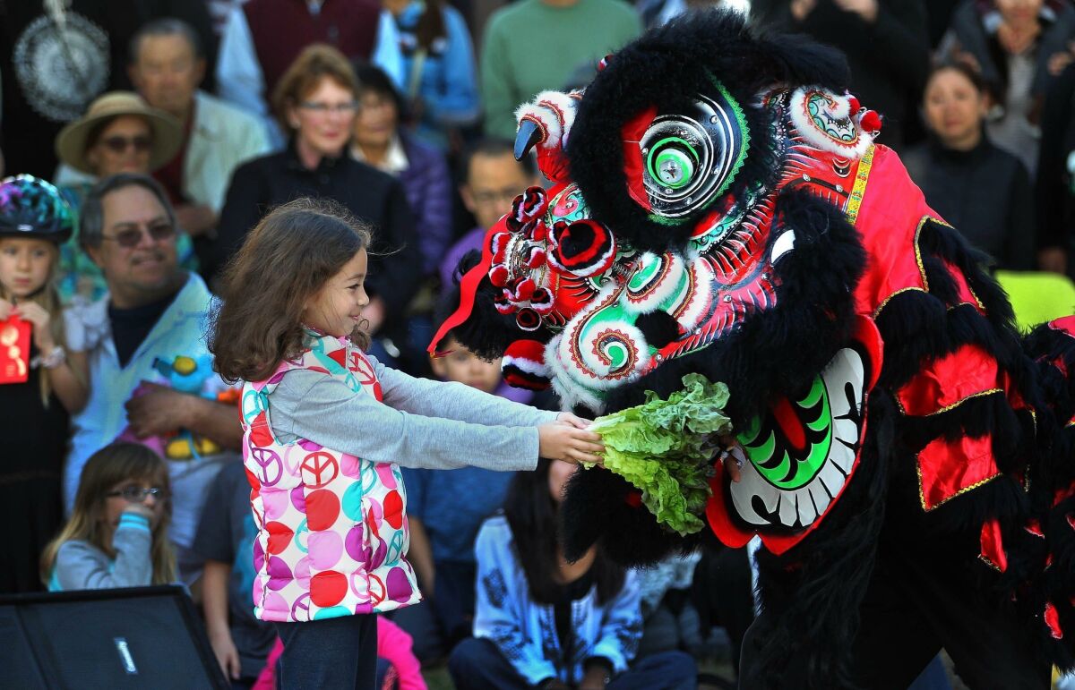 Hannah Bolanos-Roth gives lettuce to one of the lions from the Three Treasures Cultural Arts Society Lion dancers.