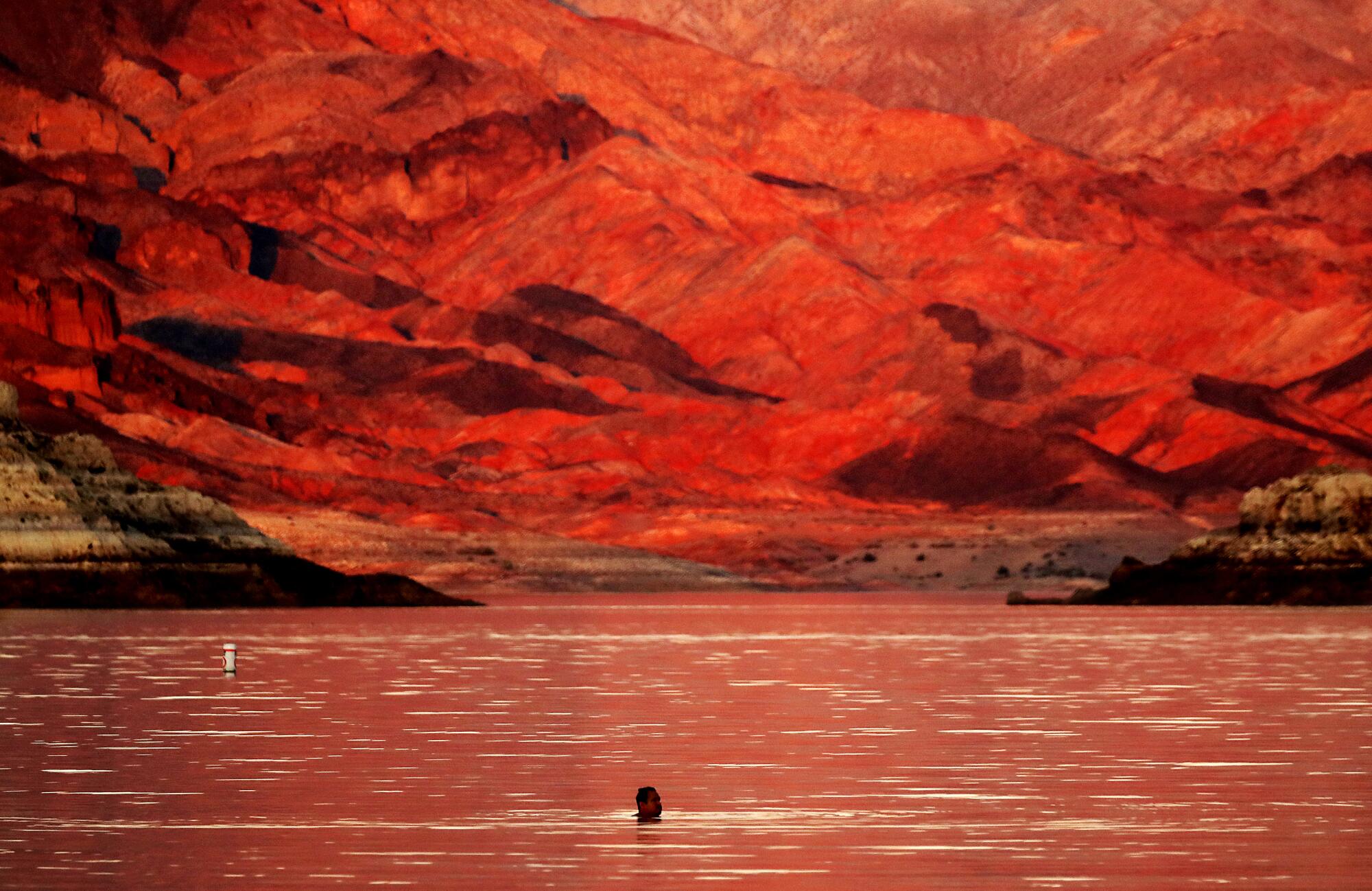 A lone swimmer takes a dip at Boulder Beach on the shore of Lake Mead.