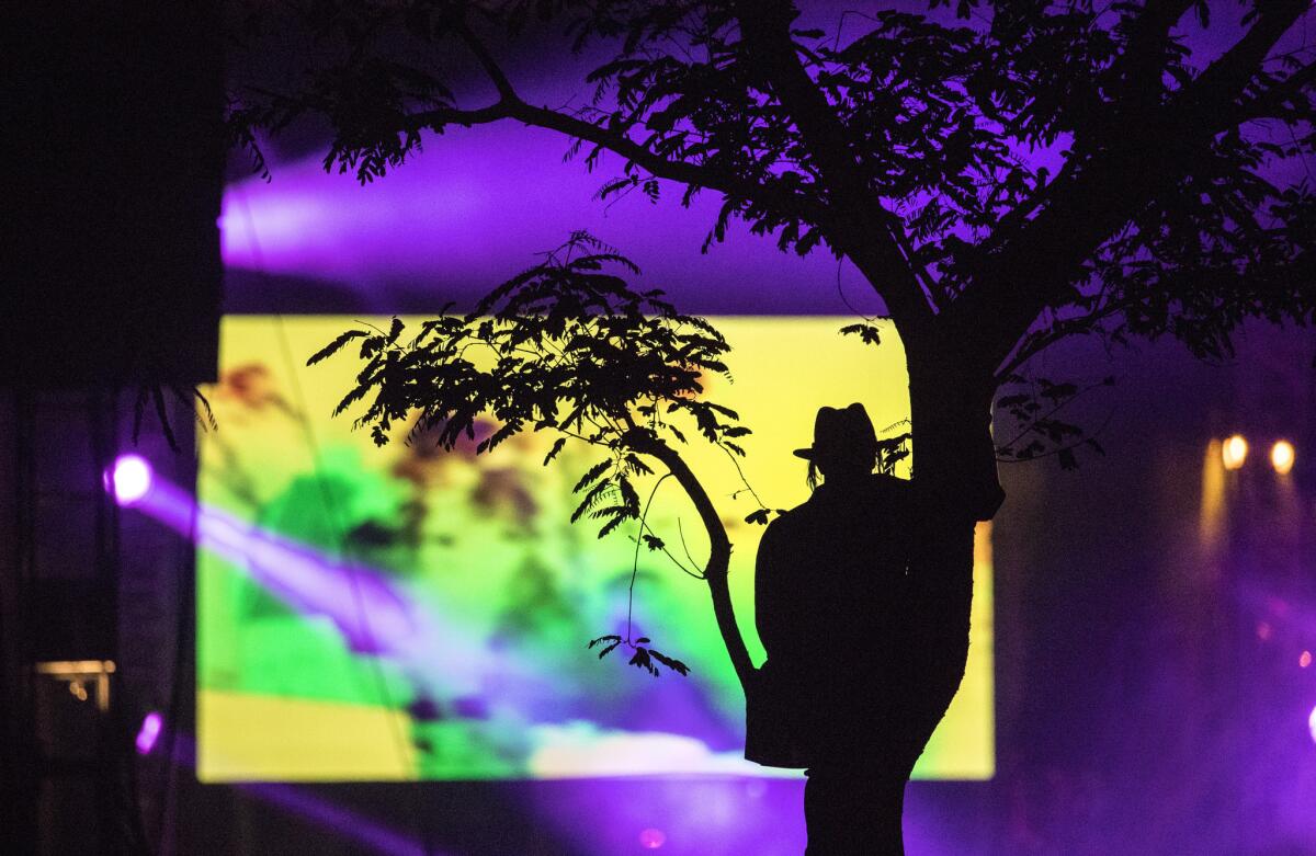 A man in a tree watches Travis Scott's set at Coachella.