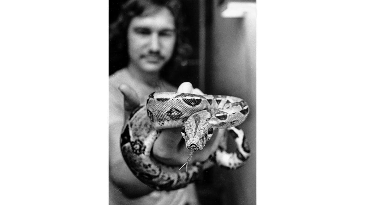May 18, 1979: A boa constrictor used to open a senior's dorm room. The snake was lowered over the transom, then it wrapped its tail around a box containing the key before being hoisted back out.