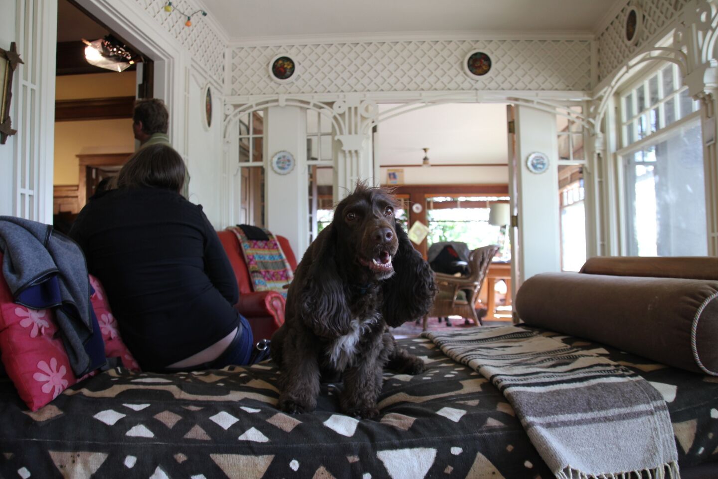 Once inside, you are liable to greeted by a field spaniel or three, who welcome visitors with tail wags and cuddles.