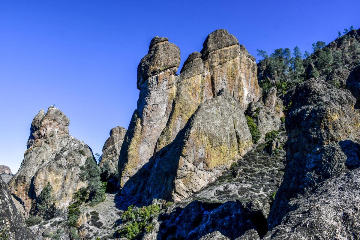 West side, Pinnacles National Park. Near Juniper Canyon Trail