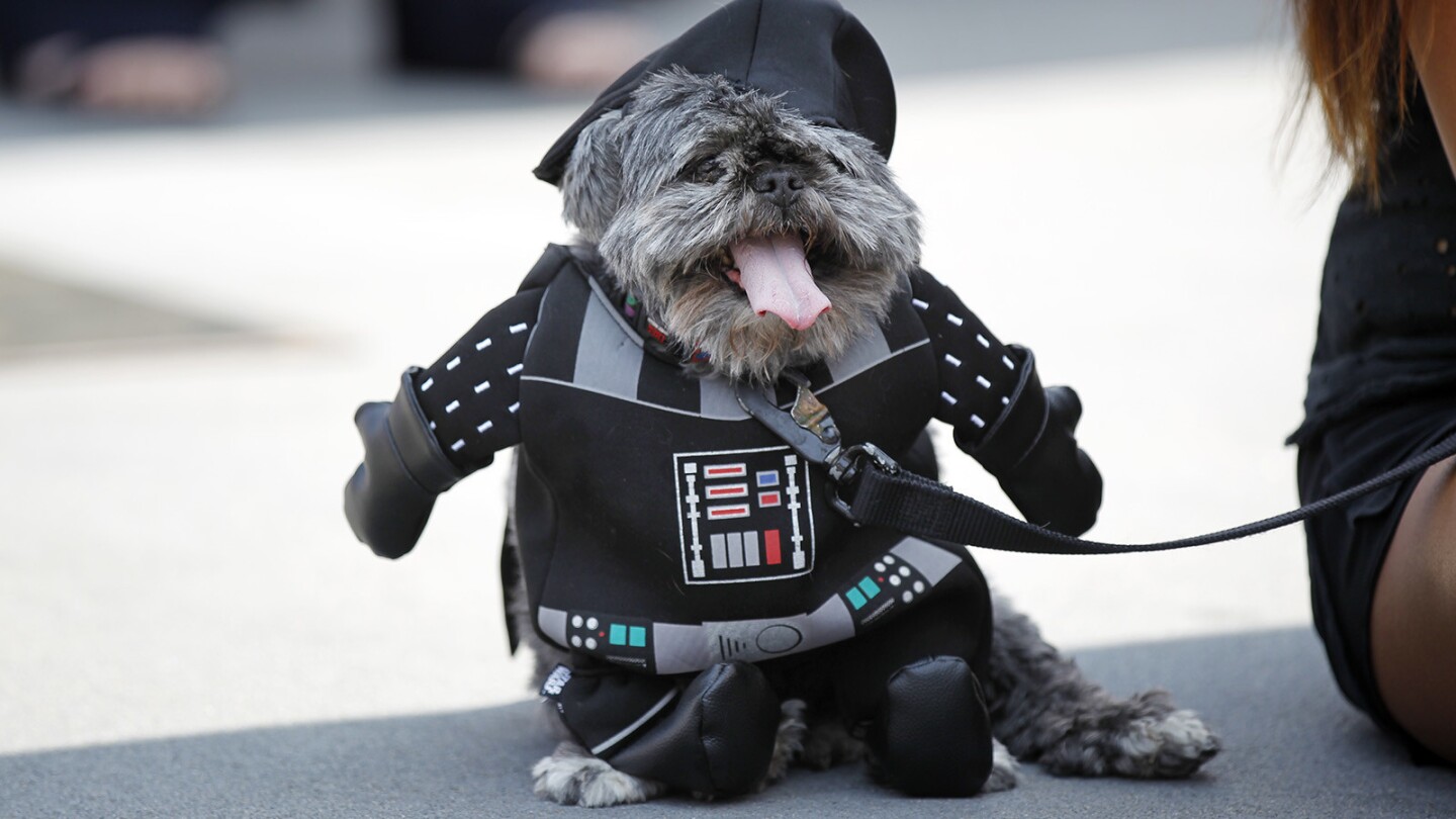 White Sox dressed as Darth Vader in a costume contest at the 6th Annual PAWmicon Convention hosted by the Helen Woodward Animal Center and Hazard Center in San Diego on July 15, 2018. Dogs dressed up in costumes for annual event that happens the week of Comic-Con. (Photo by K.C. Alfred/San Diego Union-Tribune)