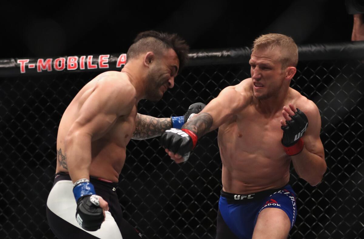 TJ Dillashaw hits John Lineker with an overhand right during their bantamweight bout at UFC 207.