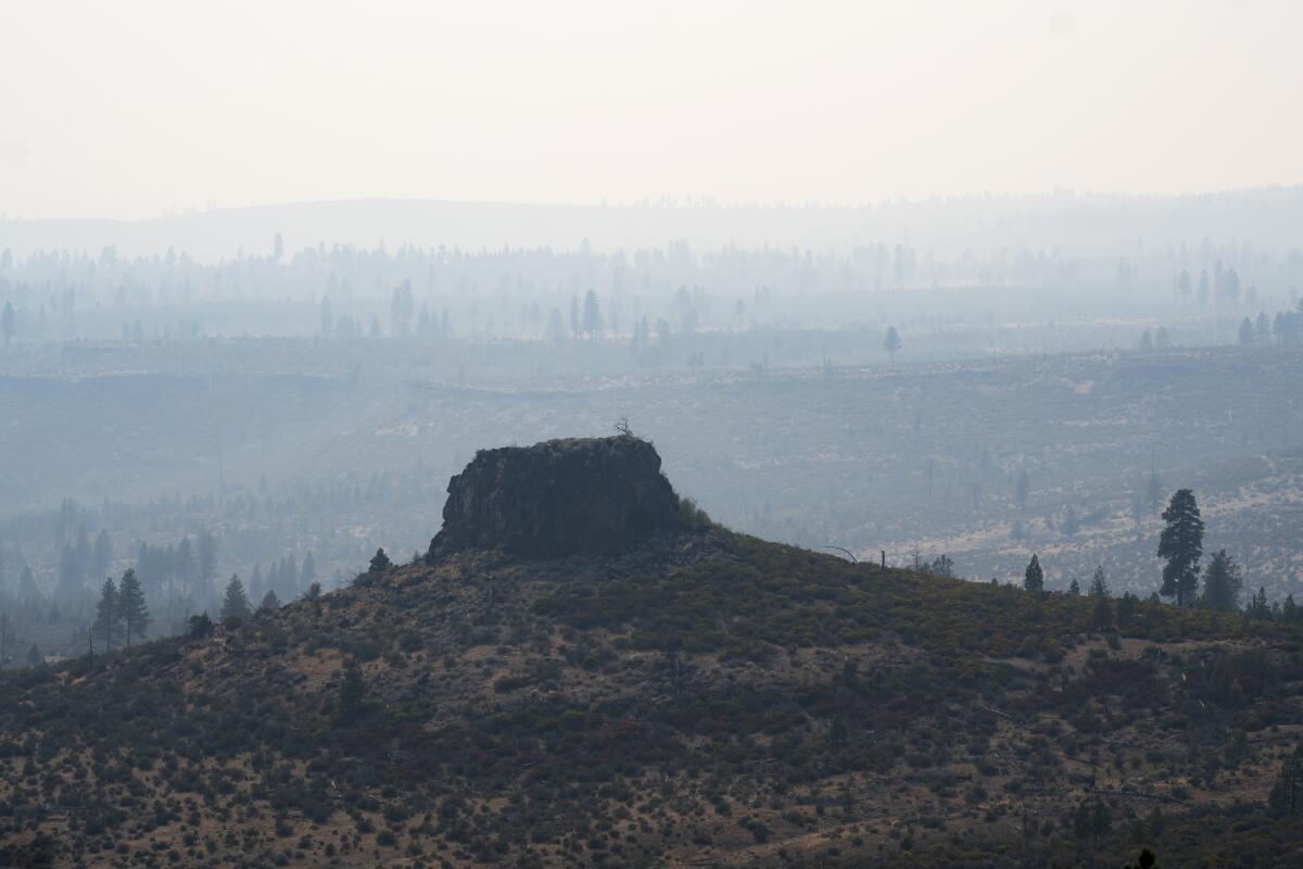 Smoke from wildfire filling the air