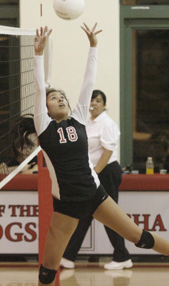 FSHA's Katherine Villegas sets the ball during a match against Harvard-Westlake at FSHA in La Canada l on Tuesday, October 2, 2012.