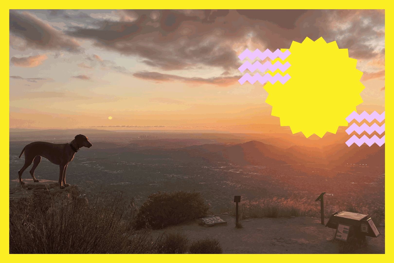 A dog on top of a mountain bluff looking off toward the setting sun.