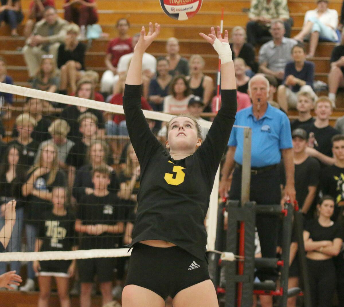 Senior setter Carly Diehl had the Torrey Pines offense running on all cylinders.