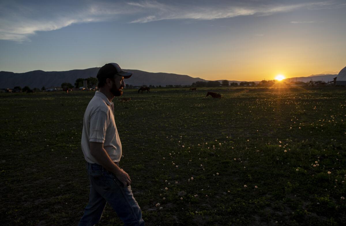 Nathan Ivie walks through a pasture as the sun sets in Benjamin, Utah.