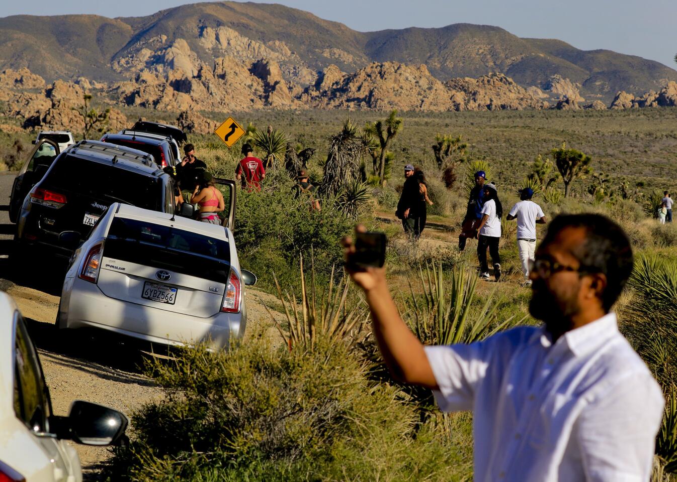 Selfies and traffic jams seem to go together along Park Boulevard on a busy Saturday afternoon in Joshua Tree National Park.