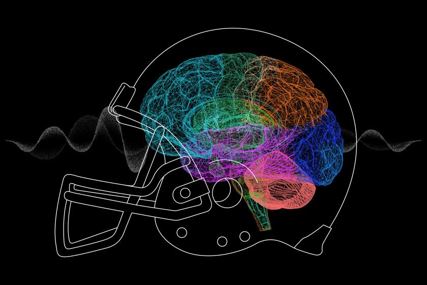 Stone Age humans were picky about which rocks they used for making ...