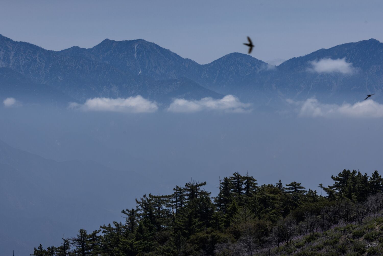 California Congress members call for expansion of San Gabriel Mountains National Monument