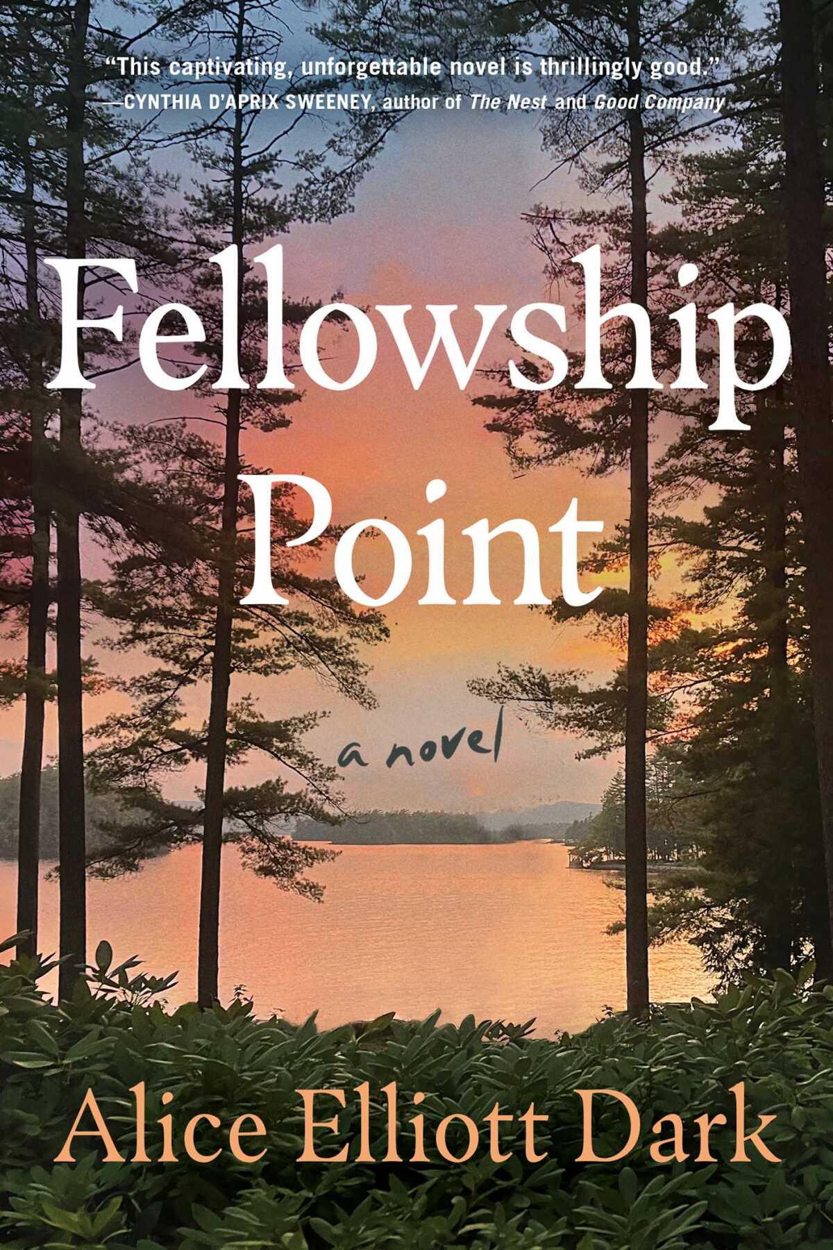 "Fellowship Point," by Alice Elliott Dark