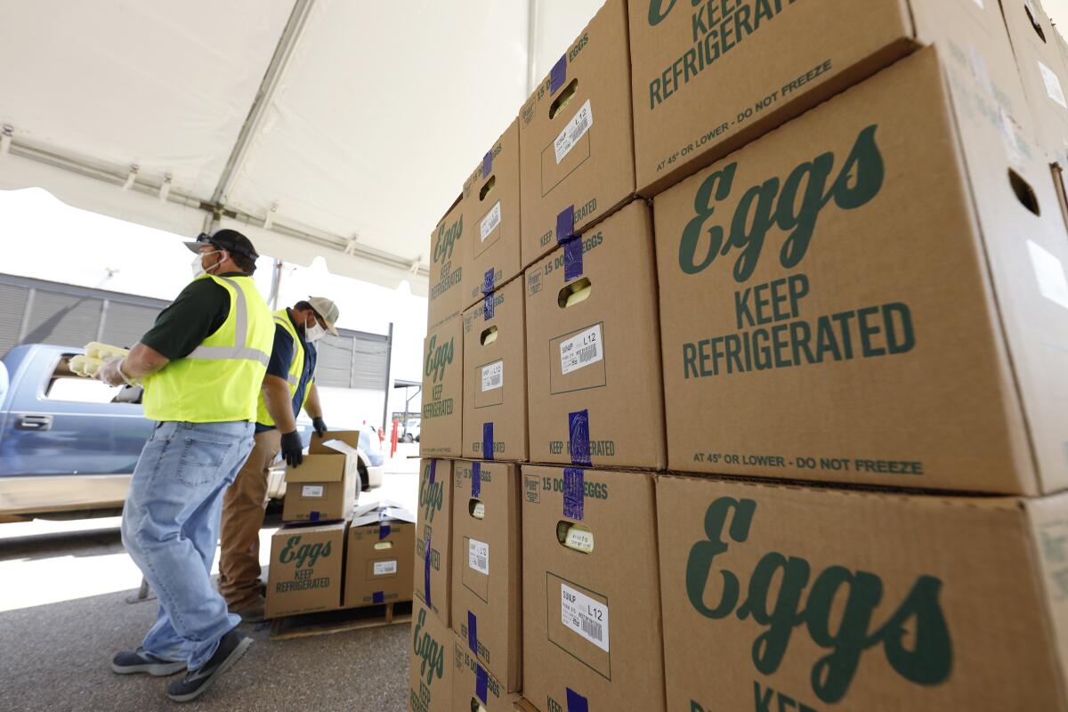 ARCHIVO - Cajas con huevo de Cal-Maine Foods, Inc. a la espera de ser entregadas por empleados del Departamento 