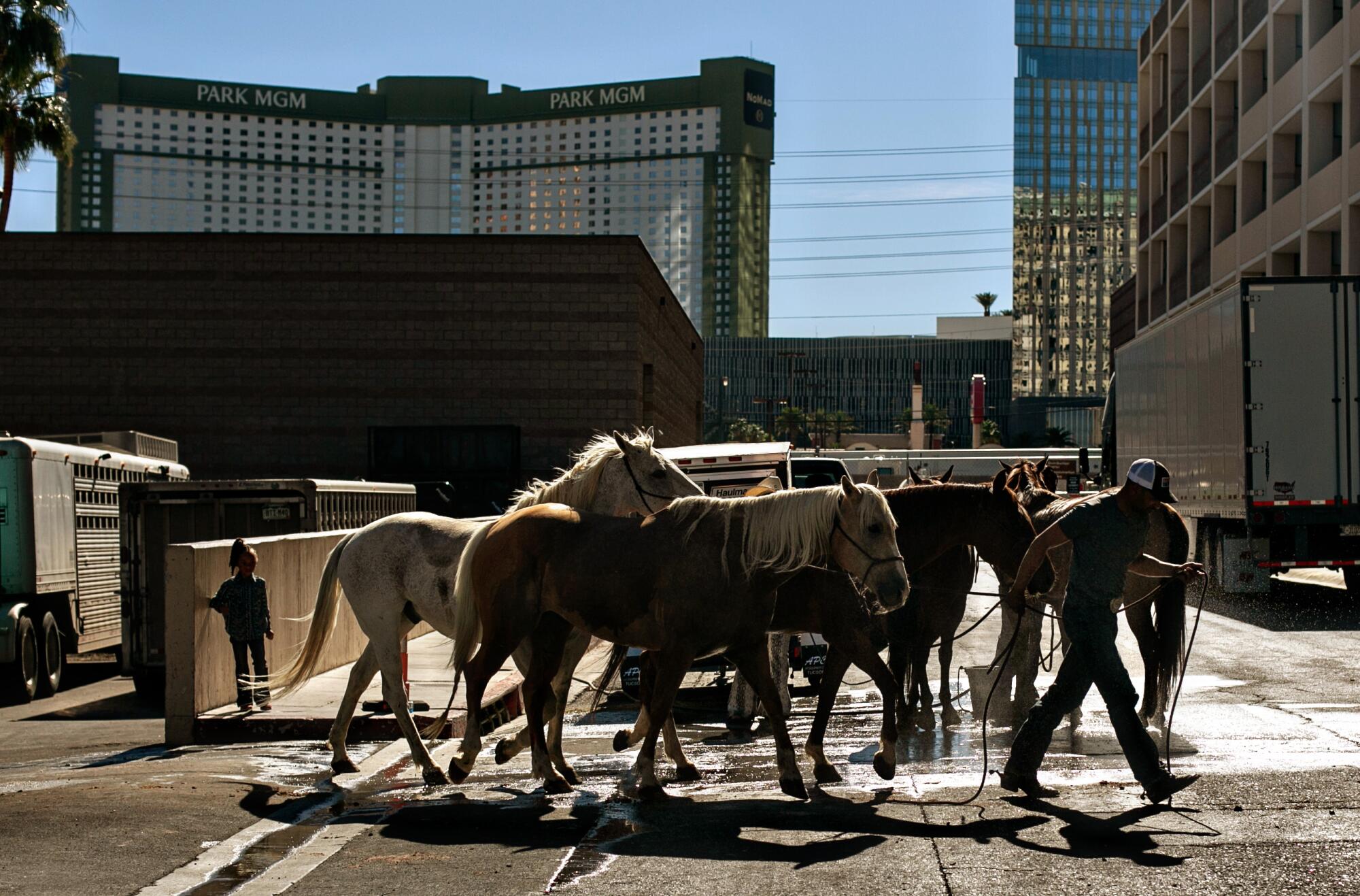 Horses are hosed down for relief from the heat in the street outside the arena