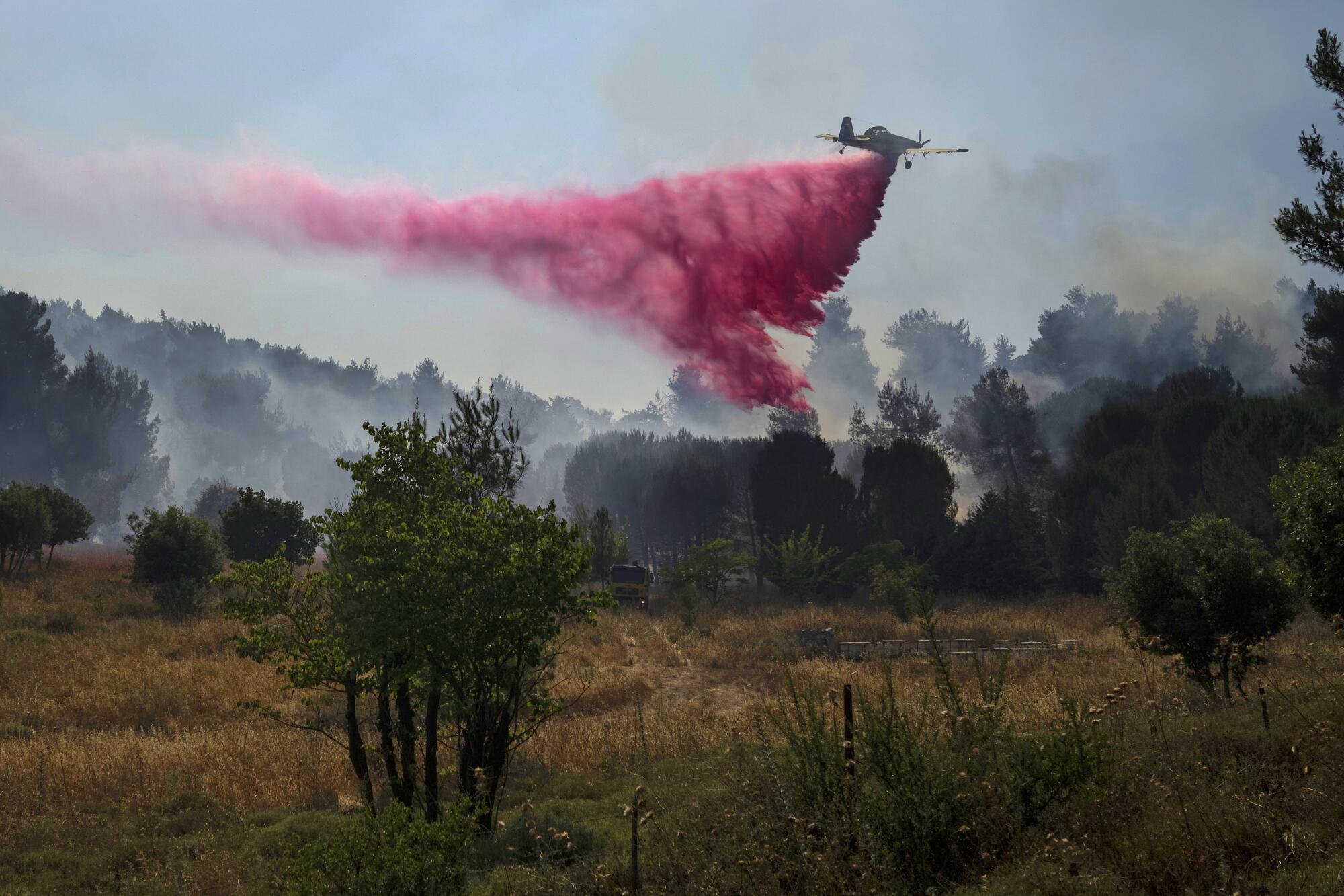 A plane drops pink fire retardant in a wooded area. 