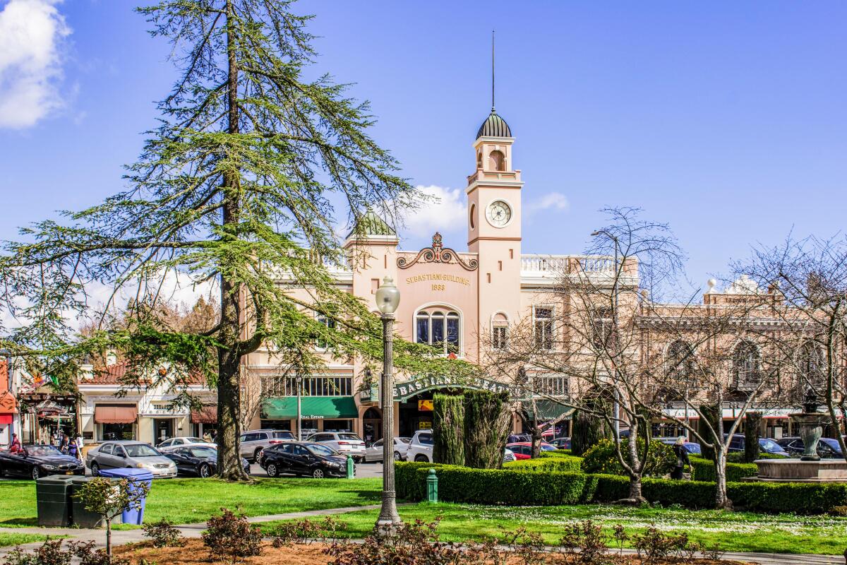 Historic movie theater with a clocktower and a tall evergreen tree in Sonoma Plaza