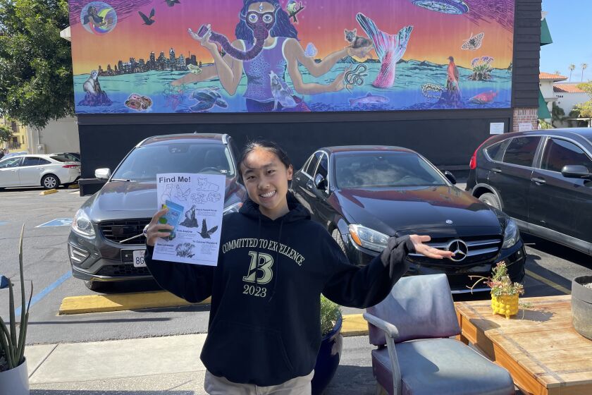 La Jolla student Katelyn Wang has created an activity page to complement Murals of La Jolla's "Resurgence."