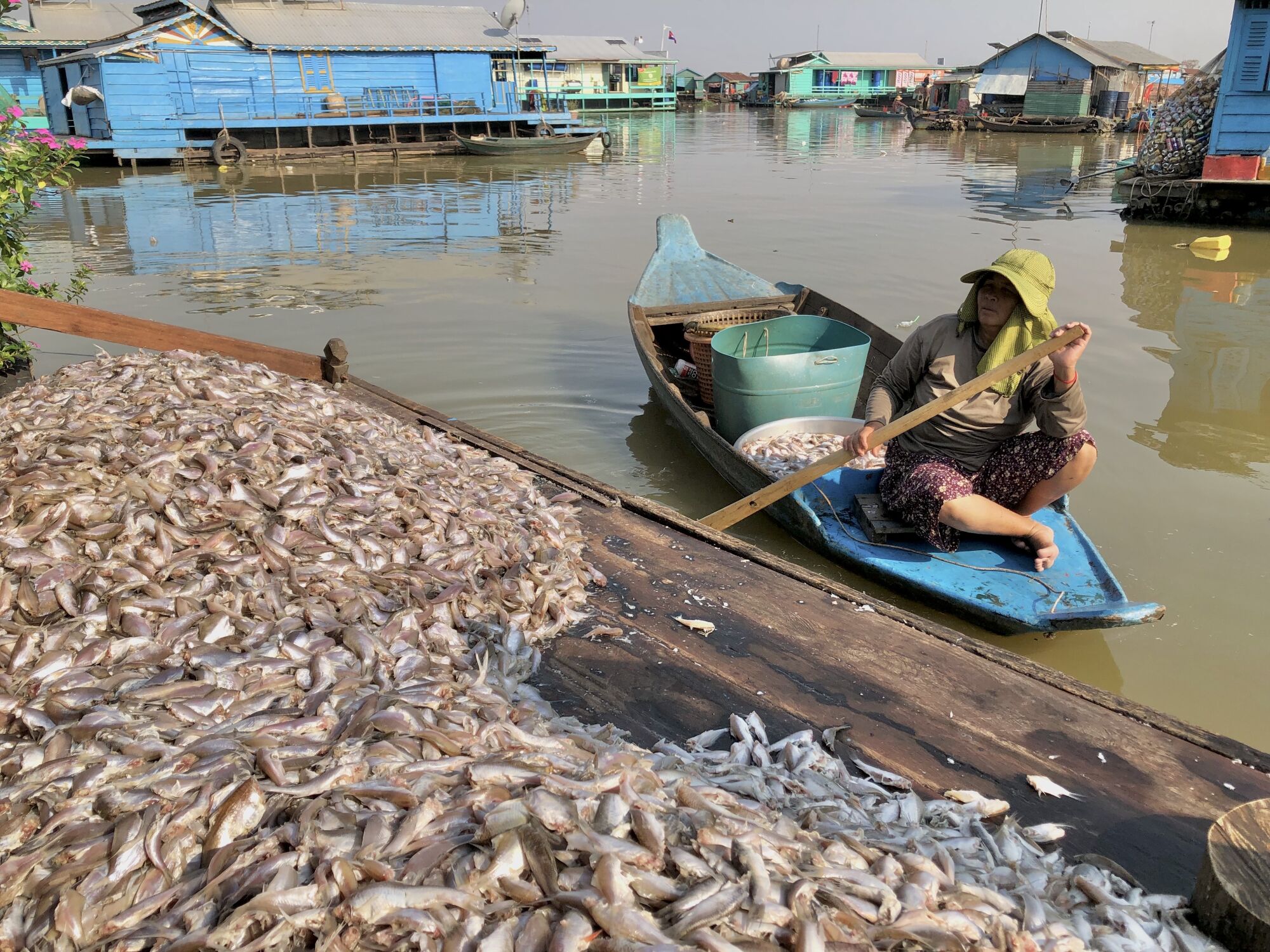 A woman sells mud carp on the Tonle Sap lake in Kampong Luong, Cambodia.
