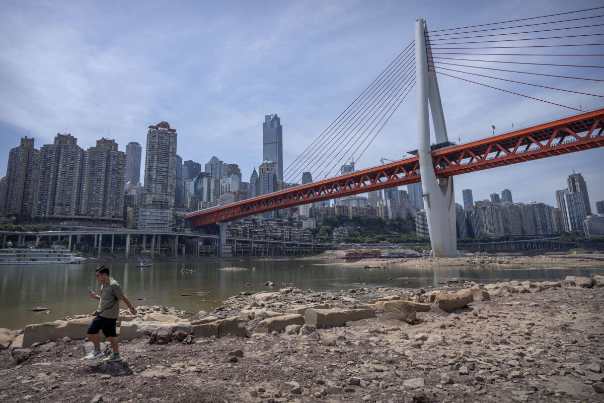 Un hombre camina junto a la orilla contraída del río Jialin, en la municipalidad china de Chongqing el 19 de agosto del 2022. (AP Foto/Mark Schiefelbein)