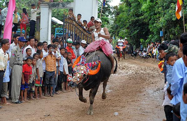 Vihear Sour, Cambodia