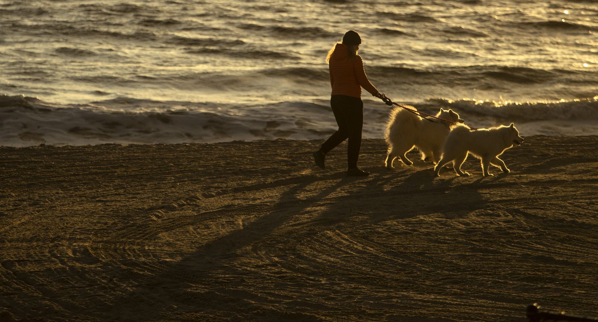 Karyn Williams of Santa Monica walks her two dogs on the beach.