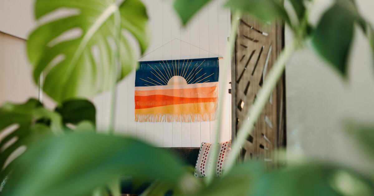 Wendy C. Ortiz est l’auteur et l’animatrice de son cabinet médical