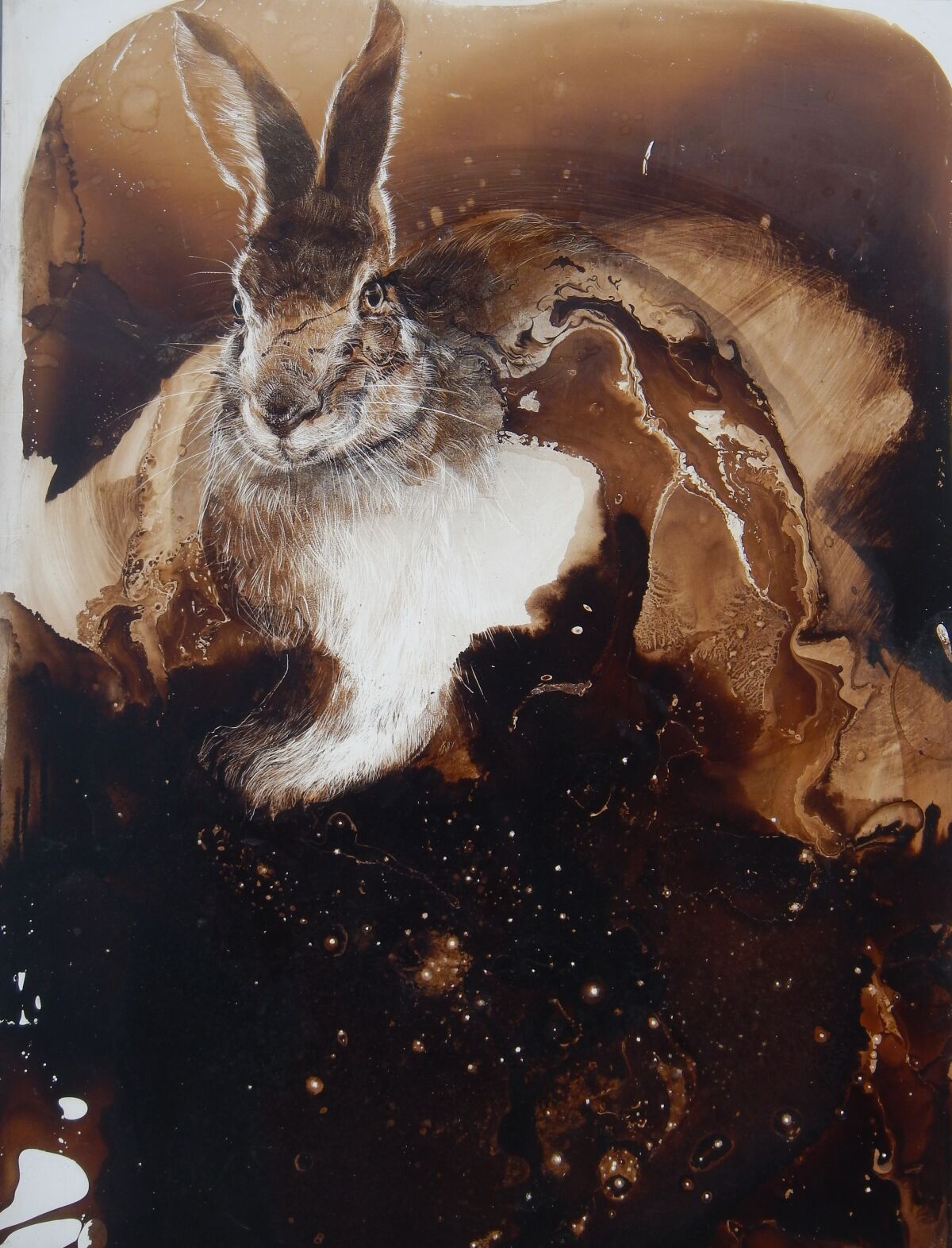 "Rabbit in Star Light" by James Griffith, 2019. Tar on panel, 24 inches by 18 inches