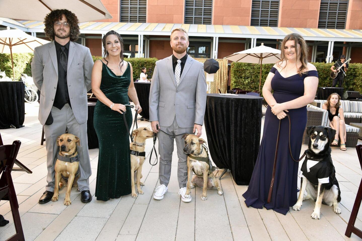 Dog trainers Vince Martell with Lola, Julie McLaughlin with Thistle, Dustin Campbell with Keeta, Alayna DeVelasco with Seth
