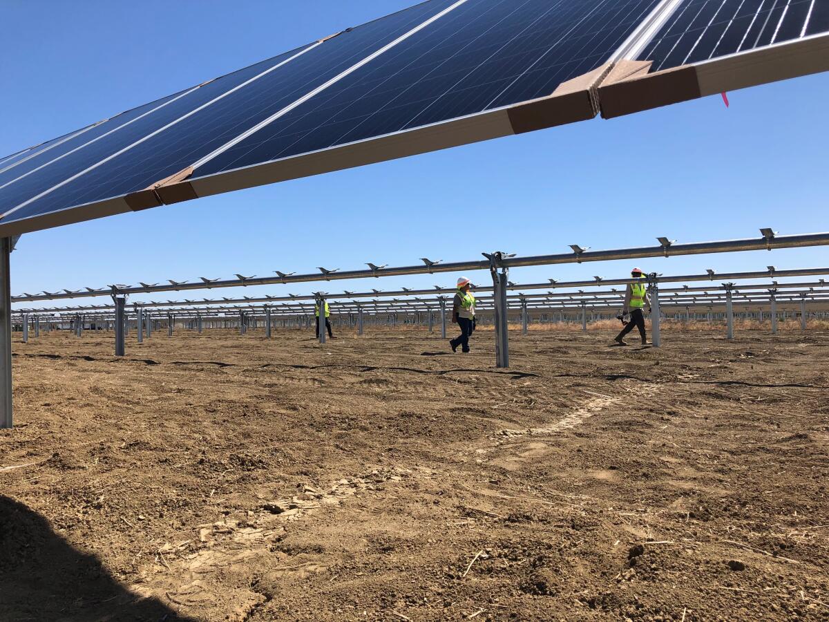 Westlands Solar Park under construction