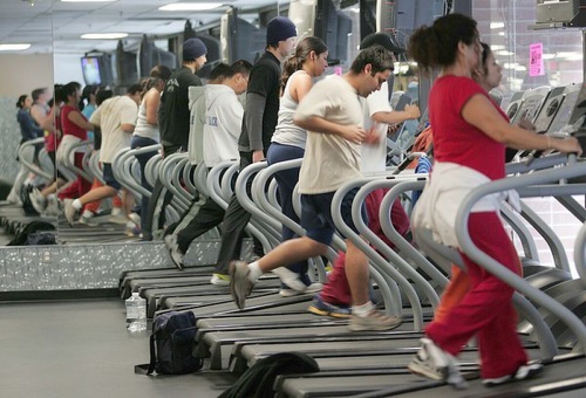 People on a row of treadmills 