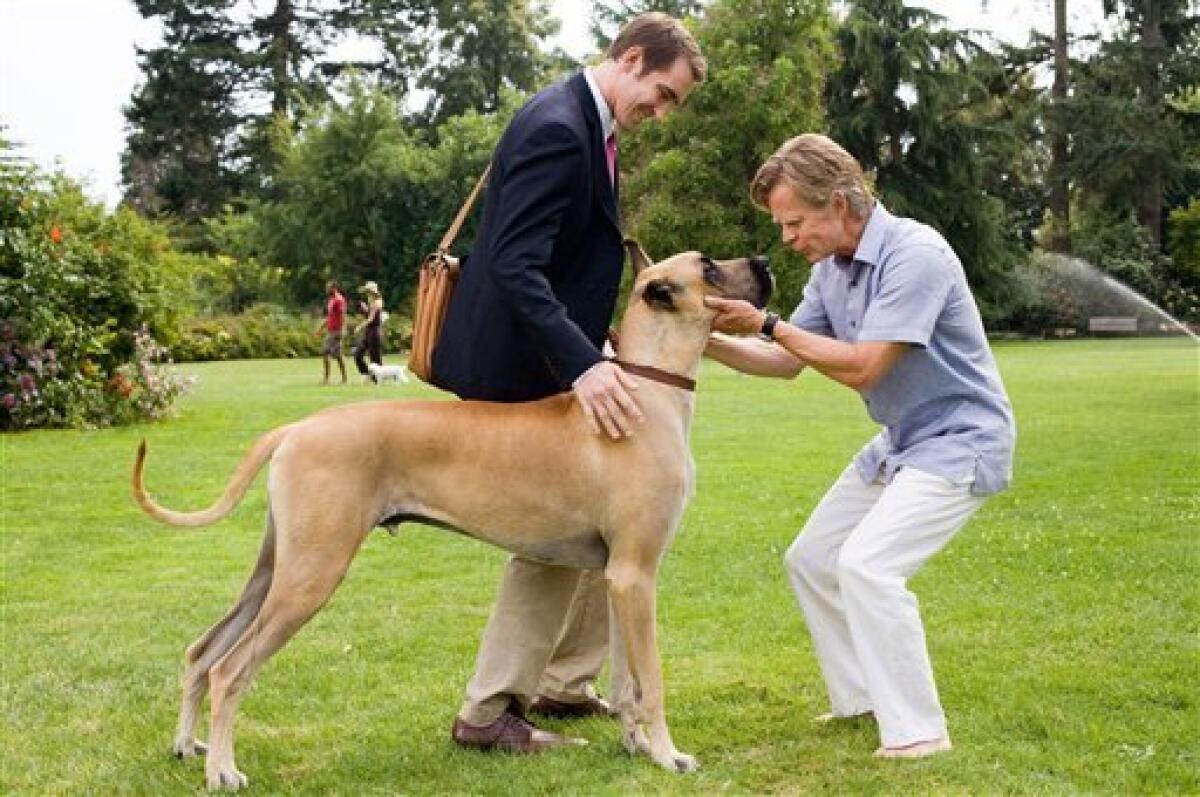In this film publicity image released by Fox, Lee Pace, left, William H. Macy and Marmaduke the dog are shown in a scene from, "Marmaduke." (AP Photo/Fox, Joseph Lederer)