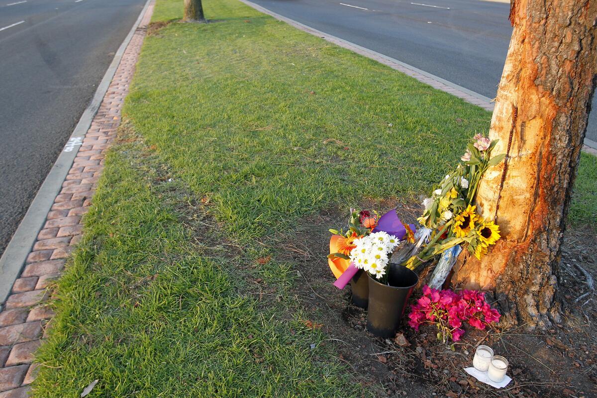 A skid mark leads into the tree where five teens were killed in a single car accident on Memorial Day, along Jamboree Road in Newport Beach.